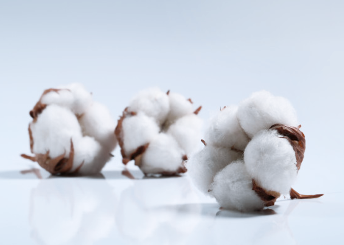 cotton