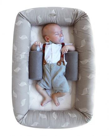 Baby Nest & Baby Loungers