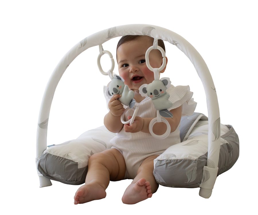 Organic Nursing Pillow with Toybar babyhood