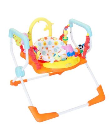 Baby Activity Centre Play Gyms Bouncers babyhood