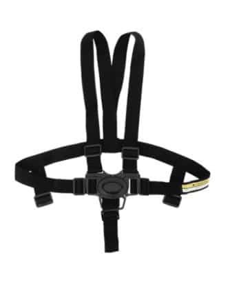 Harness and Buckles