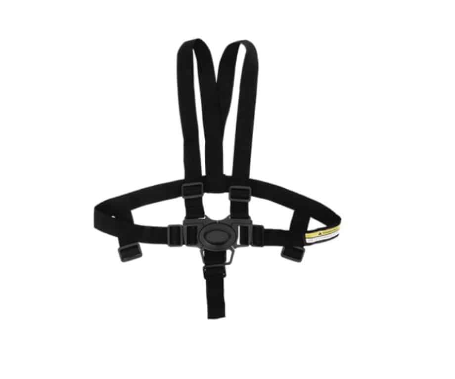 Harness and Buckles